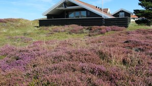 A modern house with a sloped roof, situated on a grassy hill with purple heather. - "Lilja" - 1.5km from the sea by Interhome (Fanø)