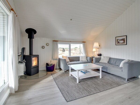 TV, fireplace, DVD player