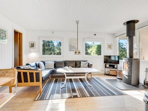 Fernseher, Kamin