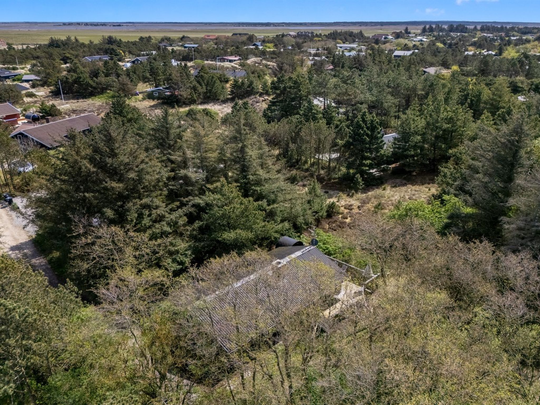 A residential area with houses surrounded by dense forest, a clear sky, and a distant view of a town.