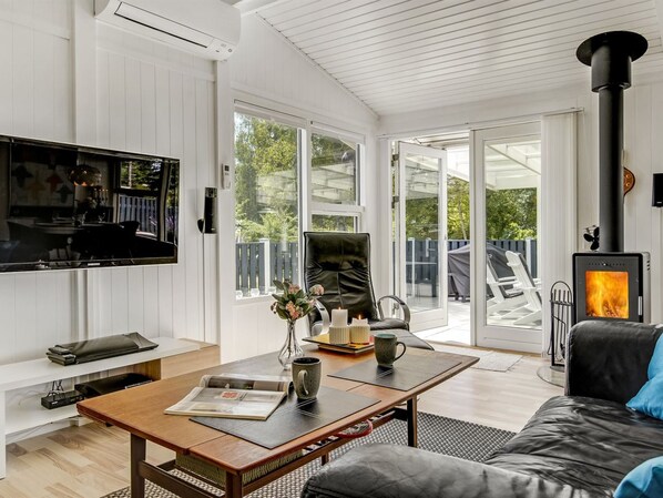 Televisión, chimenea, reproductor de DVD