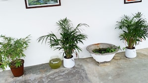 Un mur orné de deux œuvres d’art encadrées, d’une plante en pot et d’un petit bol décoratif.