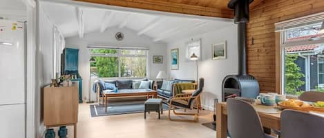 TV, fireplace, DVD player