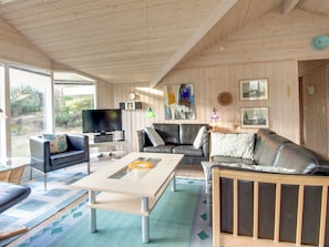 TV, fireplace, DVD player