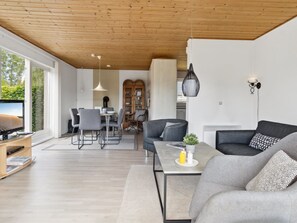 TV, fireplace, DVD player