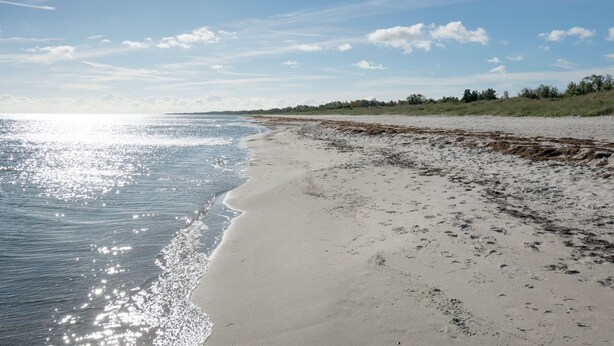 A beach with a sandy shore and gentle waves. - "Bergit" - 55m from the sea by Interhome (Væggerløse)