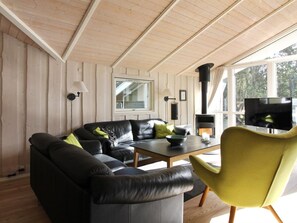 Televisio, takka, DVD-soitin