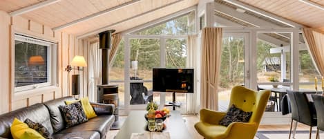 TV, fireplace, DVD player