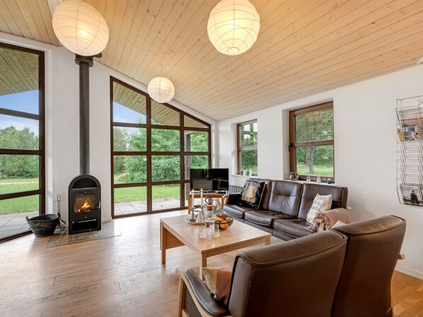 TV, fireplace, DVD player