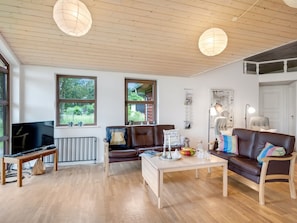 テレビ、暖炉、DVD プレーヤー