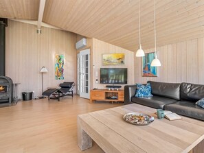 TV, fireplace, DVD player