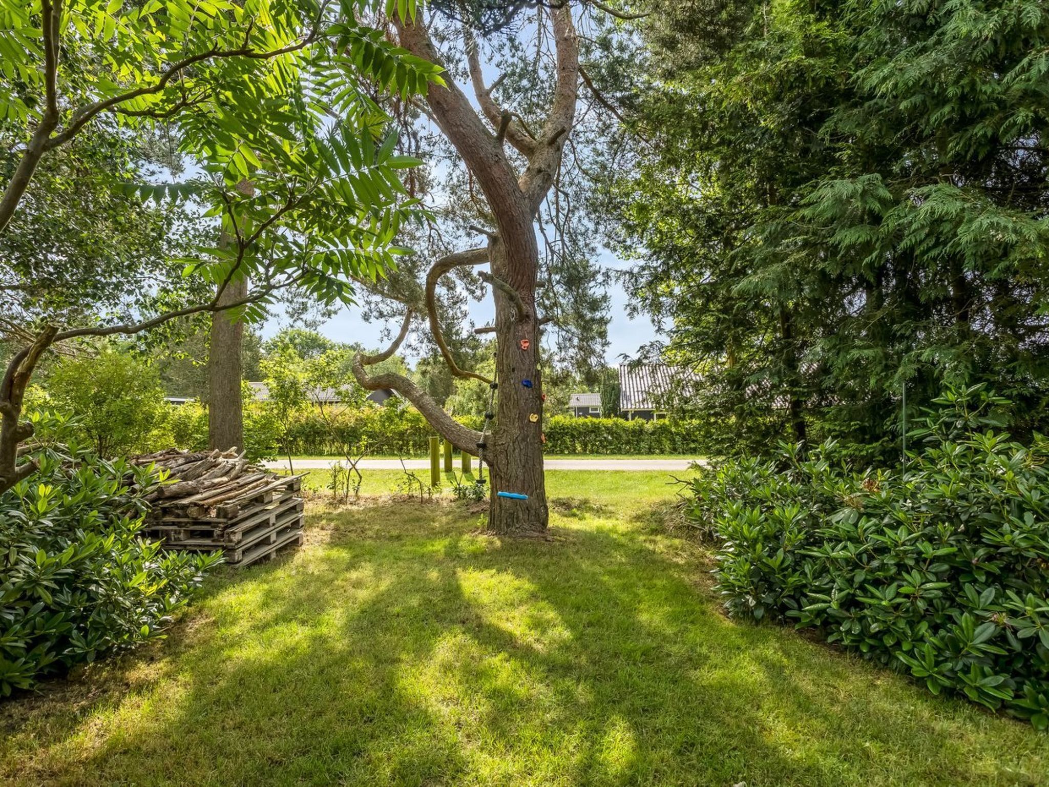 Un jardín bien cuidado con un árbol grande, un banco de madera y arbustos ordenados.