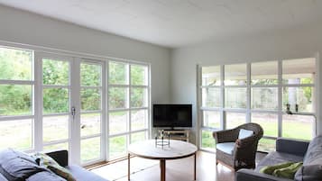 TV, fireplace, DVD player