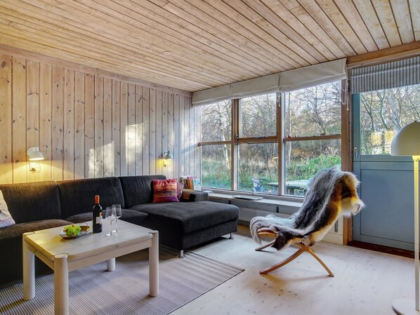 TV, fireplace, DVD player