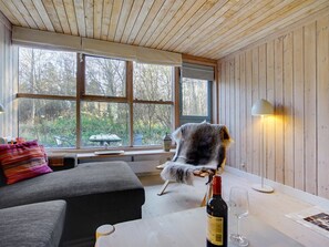 TV, fireplace, DVD player