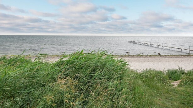 A coastal view with a sandy beach, grassy foreground, and a wooden pier extending into the water.