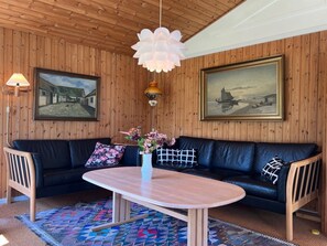 Télévision, cheminée, lecteur de DVD