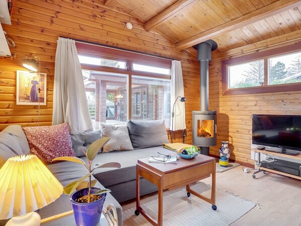 TV, fireplace - "Agda" - 100m from the sea by Interhome (Idestrup)