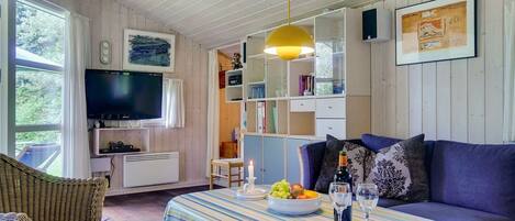 TV, peis og DVD-spiller