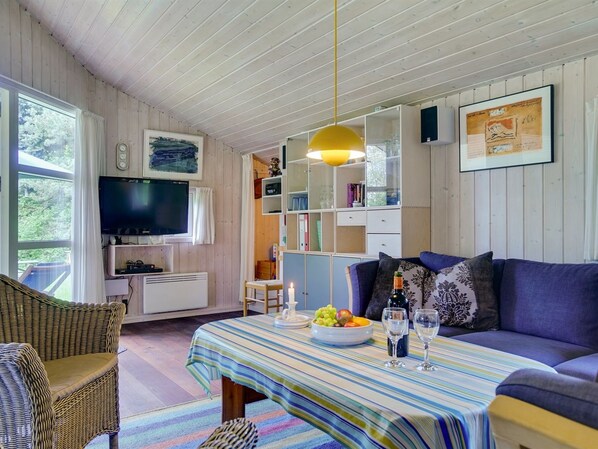 TV, fireplace, DVD player