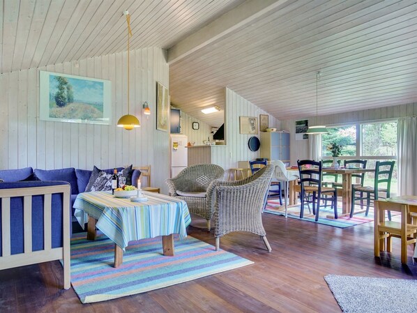 TV, fireplace, DVD player