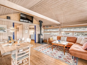 TV, fireplace, DVD player