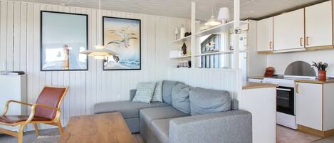 Een televisie, een open haard en een dvd-speler