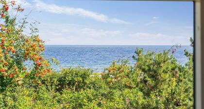 "Gjorgje" - 100m from the sea by Interhome