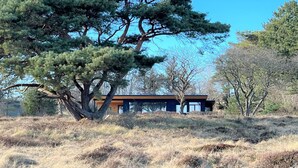 A modern house with a large tree in the foreground and a clear blue sky. - "Toska" - 100m to the fjord by Interhome (Rørvig)