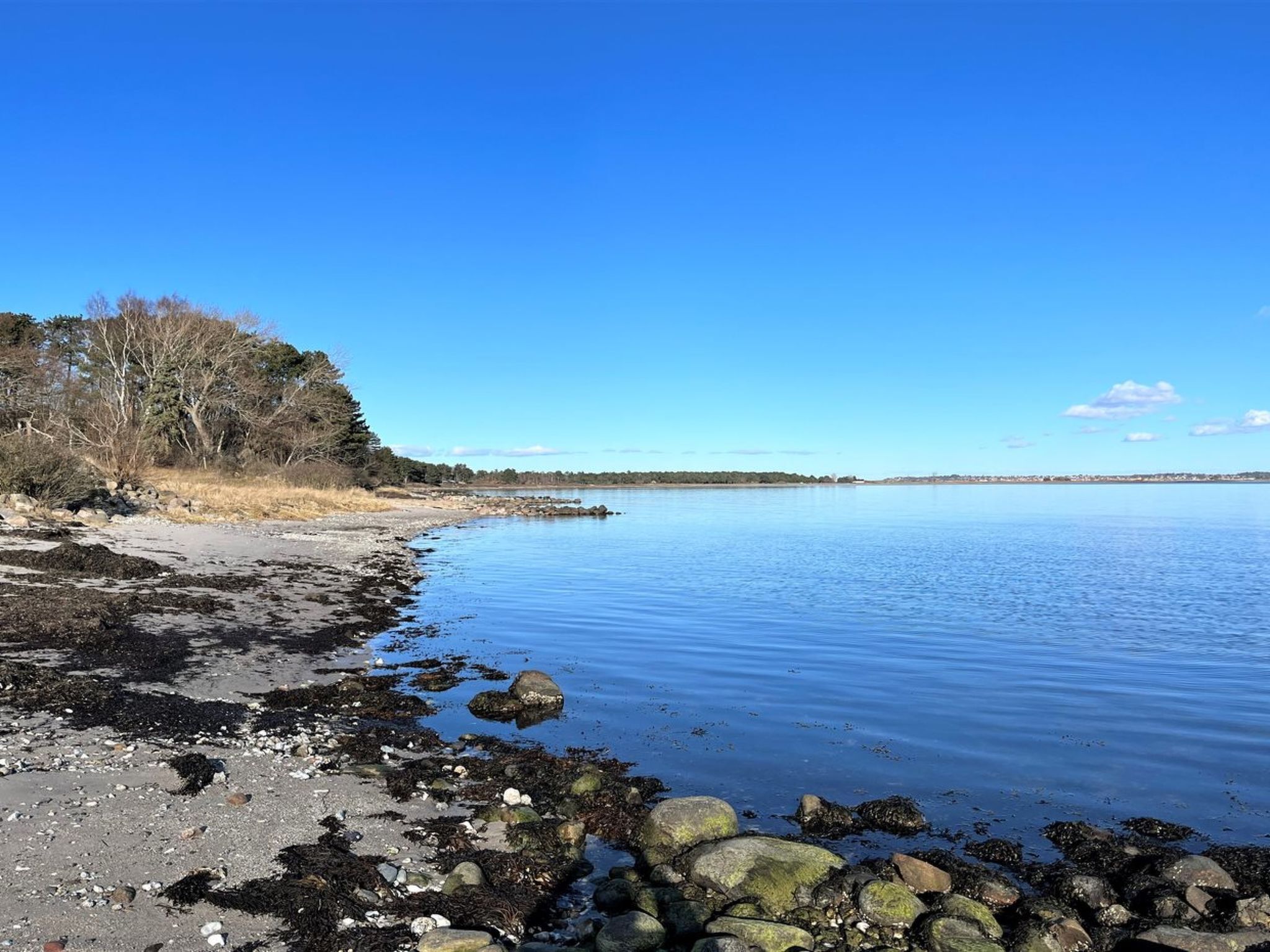 Un paysage côtier avec une étendue d’eau calme, une côte rocheuse et des arbres en arrière-plan.