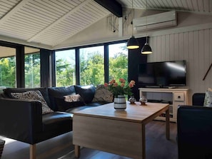 TV, fireplace, DVD player