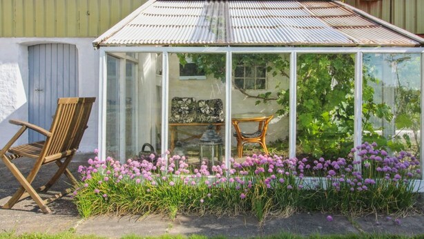 A conservatory with a glass roof, surrounded by a garden with purple flowers.