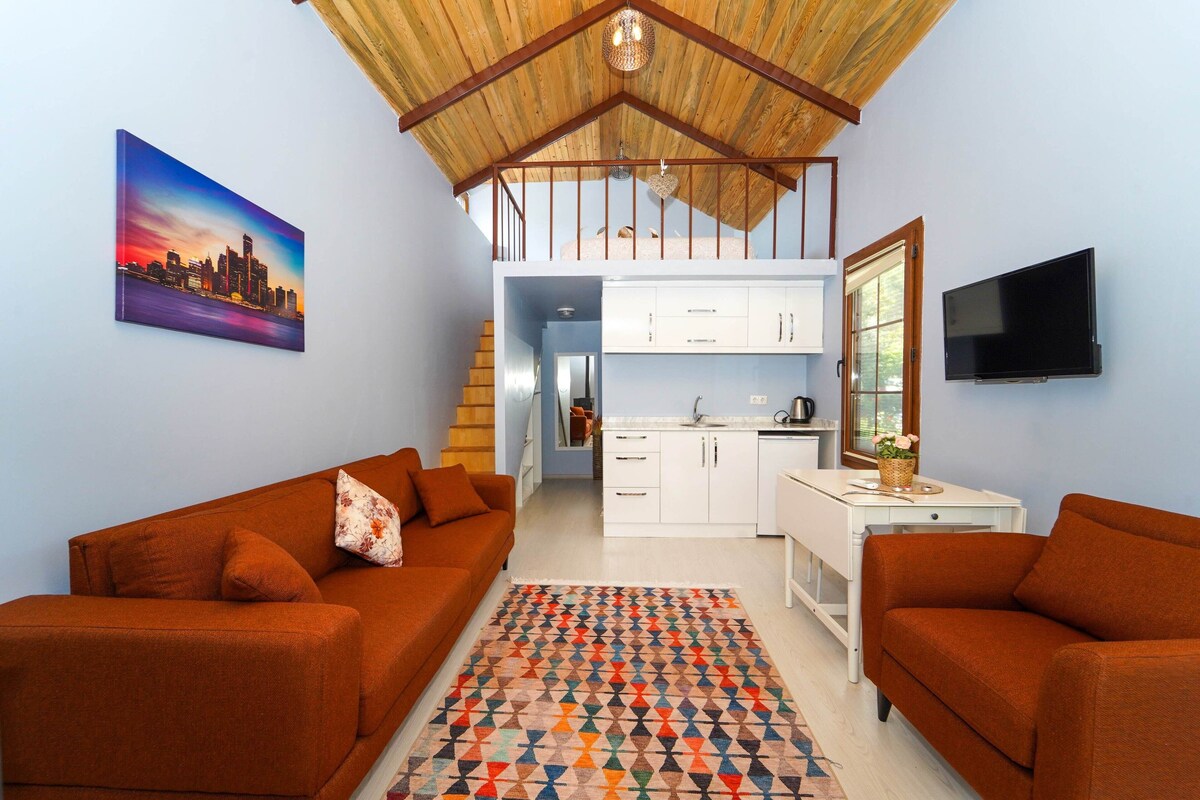 A compact living space with a loft bedroom, a kitchenette, and a TV mounted on the wall.
