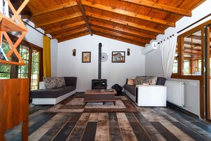 Deluxe Σαλέ | Περιοχή καθιστικού | Τηλεόραση με επίπεδη οθόνη