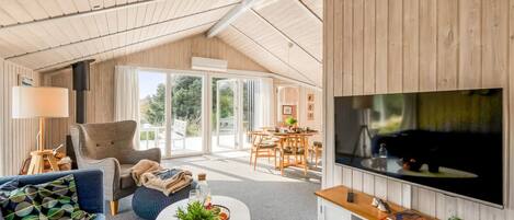 Télévision, cheminée