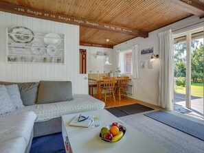 电视、壁炉、DVD 播放器