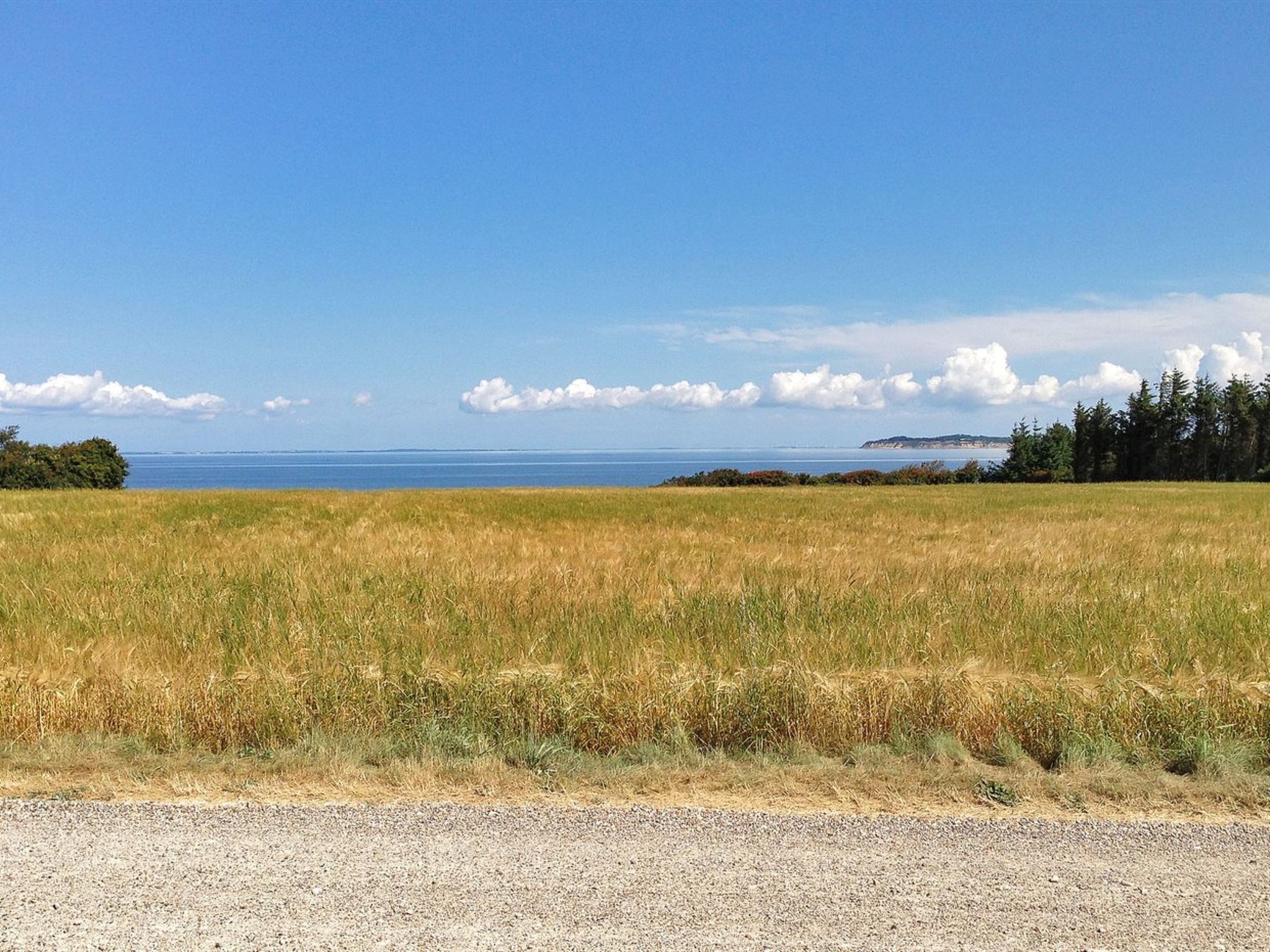 Un paysage côtier avec un ciel dégagé, un champ herbeux et une côte lointaine.