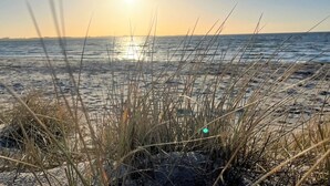 A beach scene with the sun setting over the ocean, grasses in the foreground, and a clear sky.