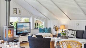 Télévision, cheminée