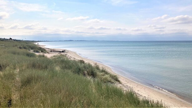 A beach with a sandy shore and grassy dunes. - "Kustaa" - 1km from the sea by Interhome (Humble)