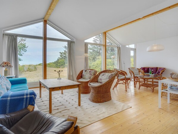 TV, fireplace, DVD player