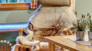 Um gato sentado em uma cadeira com um cobertor de pelo, uma mesa de madeira e uma janela com cortinas.