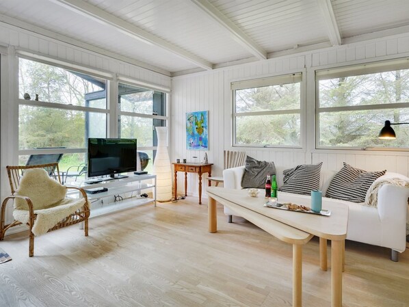 TV, fireplace, DVD player
