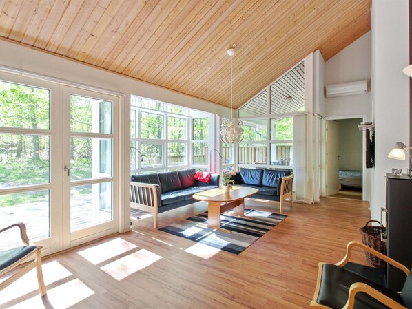 电视、壁炉、DVD 播放器