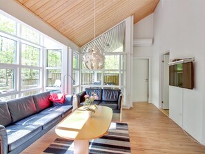 TV, fireplace, DVD player