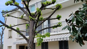 Un bâtiment à deux étages doté d’un balcon, d’une table et de chaises en bois, ainsi que de plantes en pot.
