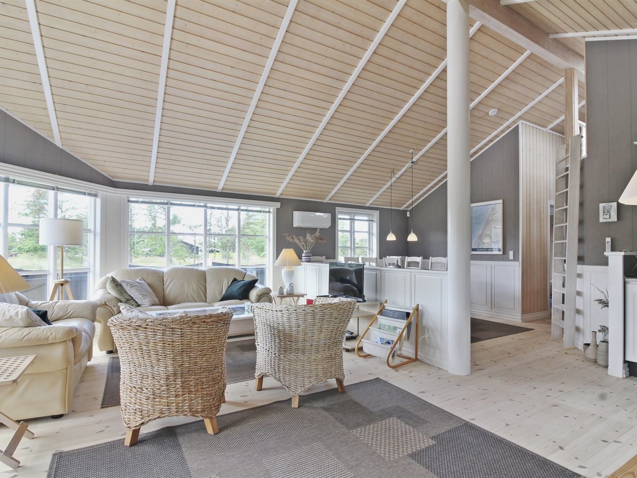 TV, fireplace, DVD player