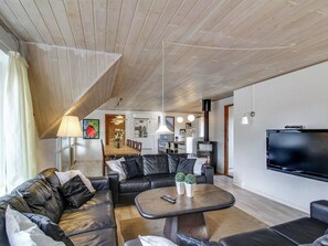 Fernseher, Kamin, DVD-Player