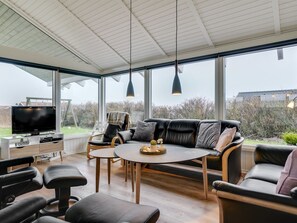 Televisión, chimenea, reproductor de DVD