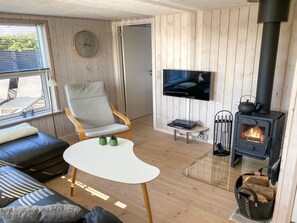 Tv, eldstad och dvd-spelare